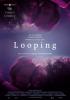 Looping