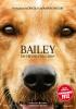 Bailey - Ein Freund fürs Leben