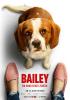 Bailey - Ein Hund kehrt zurück