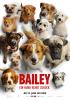 Bailey - Ein Hund kehrt zurück