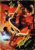 Filmplakat Street Fighter