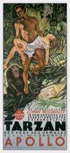 Filmplakat Tarzan, der Herr des Urwalds