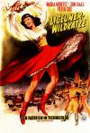 Filmplakat Zigeuner-Wildkatze