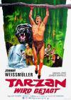 Filmplakat Tarzan wird gejagt