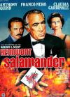 Filmplakat Kennwort - Salamander