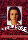 Filmplakat Weiße Rose, Die