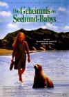 Filmplakat Geheimnis des Seehundbabys, Das