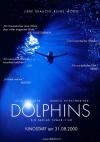 Filmplakat Dolphins
