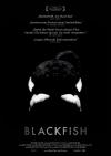 Filmplakat Blackfish