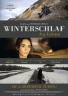 Filmplakat Winterschlaf