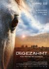 Filmplakat Ungezähmt - Von Mexiko bis Kanada