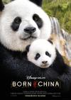 Filmplakat Born in China