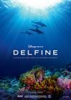 Filmplakat Delfine - Tauche ein in einen Ozean voller Überraschungen!