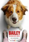 Filmplakat Bailey - Ein Hund kehrt zurück