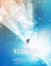 Filmplakat Winterland