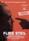 Filmplakat Flieg steil