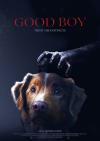 Filmplakat Good Boy - Trust his instincts